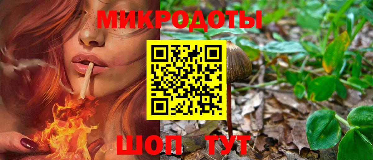 Псилоцибиновые грибы Magic Shrooms  Вход с VPN  Галлюциногенные грибы GOLDEN TEACHER  Новозыбков 
