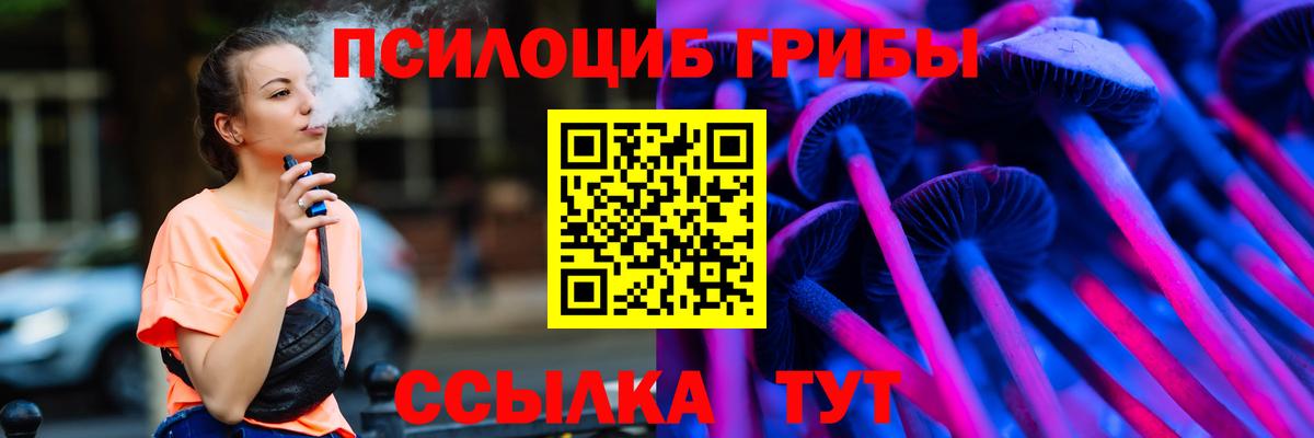 Псилоцибиновые грибы ЛСД Новозыбков