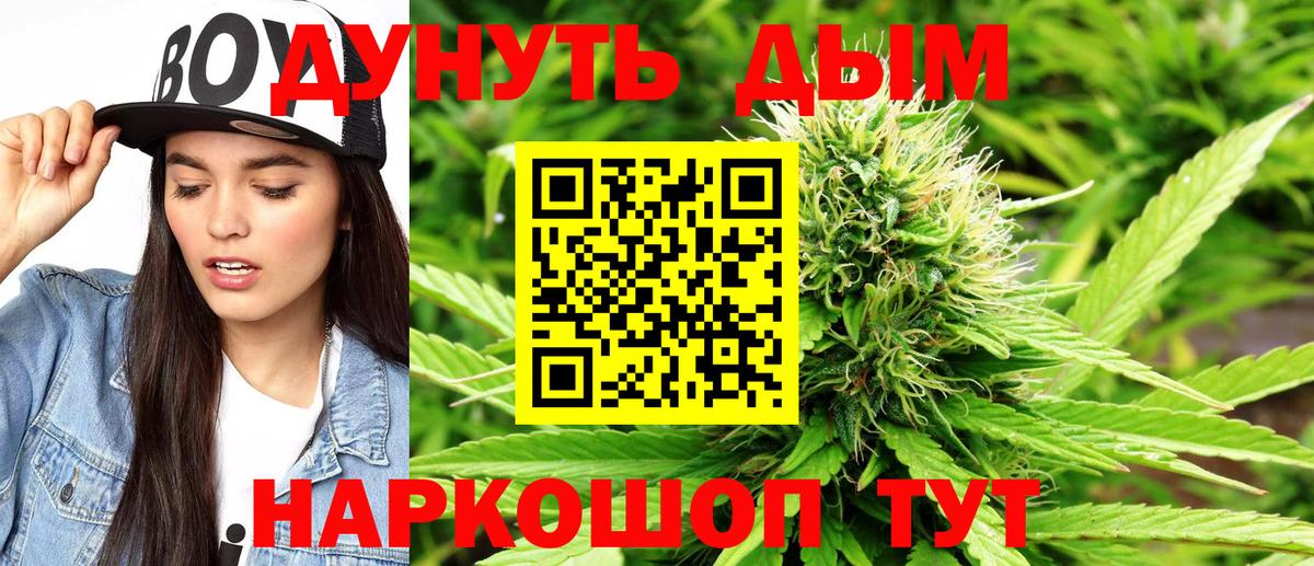 Конопля MAZAR  МАРИХУАНА семена  МАРИХУАНА план  Вход с VPN  Новозыбков  Бошки Шишки Amnesia 